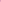 Farasha in Pink — Wujud