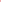 Morpho in Red — Wujud